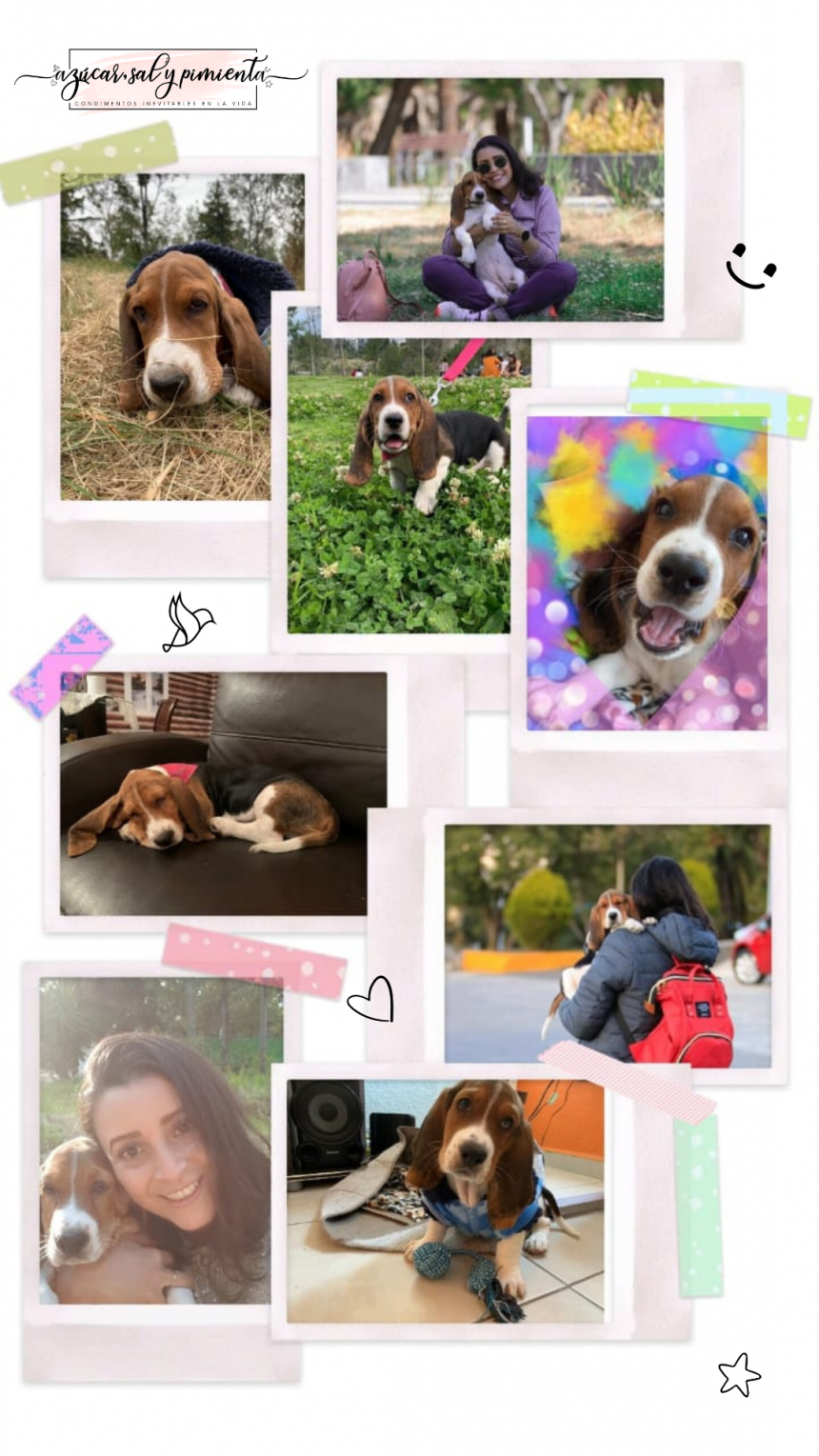 UNOS LINDOS OJOS TRISTES